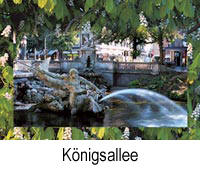 koe.jpg, 75kB