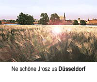 kornfeld.jpg, 55kB