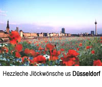 mohn.jpg, 54kB