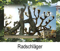 radschlaeger.jpg, 71kB