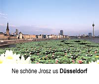 seerosen.jpg, 54kB