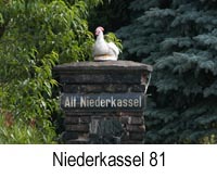 niederkassel_81.jpg, 46kB