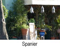 spanier.jpg, 45kB