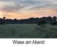 wiese_abend.jpg, 37kB