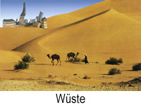 Wueste.jpg, 42kB